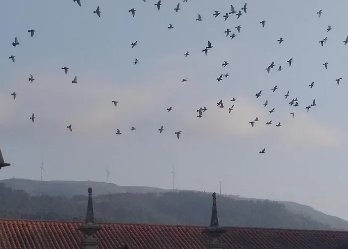 Apartment Casa Do Sol